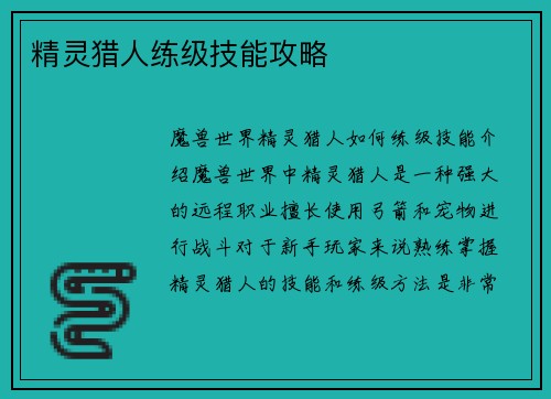 精灵猎人练级技能攻略